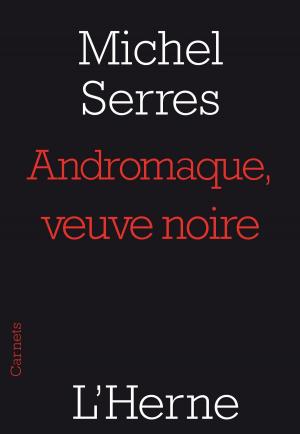 Book cover of Andromaque, veuve noire
