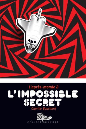 Cover of the book L'impossible secret by Camille Bouchard