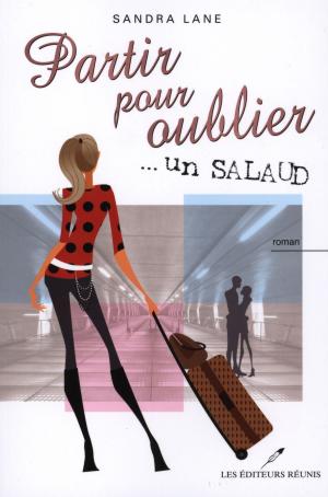 Cover of the book Partir pour oublier... un salaud by Martine Labonté-Chartrand