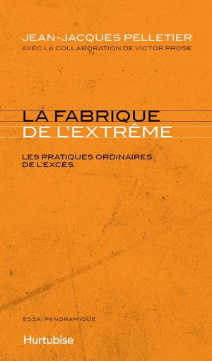 Book cover of La Fabrique de l’extrême