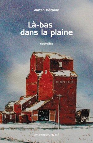 Cover of the book Là-bas, dans la plaine by Dianna Dann