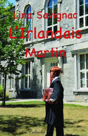 Cover of the book L'Irlandais - Martin by Dominique Girard