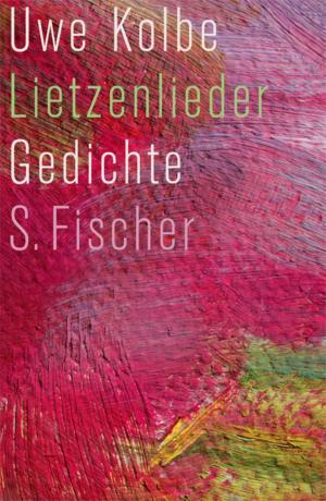 Cover of the book Lietzenlieder by Klaus-Peter Wolf