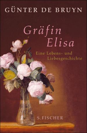 Cover of the book Gräfin Elisa by Giorgio Agamben