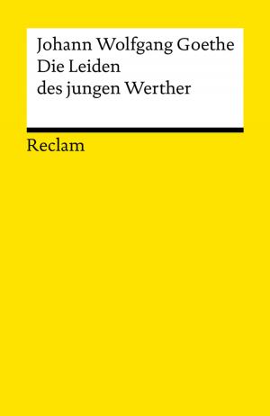 Cover of the book Die Leiden des jungen Werther by Theodor Storm
