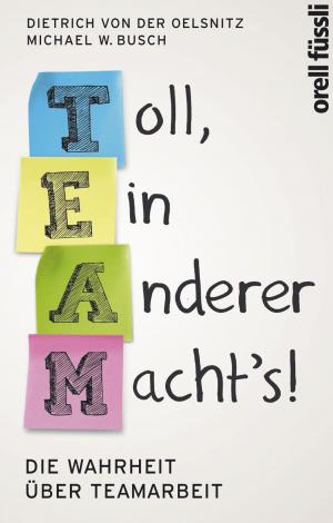 Cover of the book Team: Toll, ein anderer macht's! by Norman Backhaus, Jon Mathieu, Matthias Bürgi, Katja Hürlimann