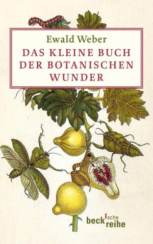 Cover of the book Das kleine Buch der botanischen Wunder by Christina Tabernig, Anke Quittschau