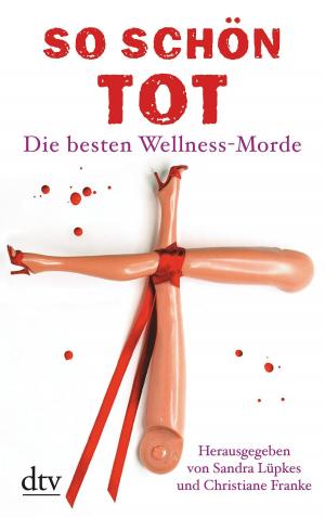 Cover of the book So schön tot by Frank Goldammer