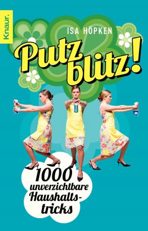 Cover of the book Putzblitz! by Juliet Marillier