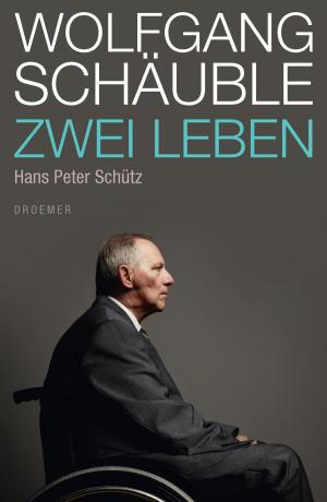 Cover of the book Wolfgang Schäuble by Nicole Steyer