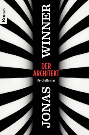 Cover of the book Der Architekt by Heidi Rehn