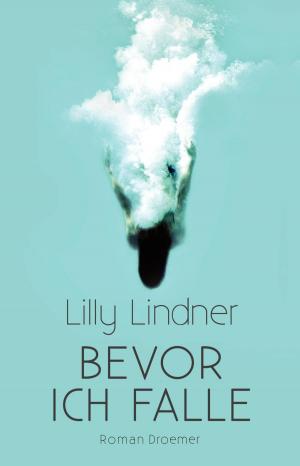 Cover of the book Bevor ich falle by Nicole Steyer