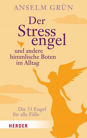 Cover of the book Der Stressengel und andere himmlische Boten by Margot Käßmann
