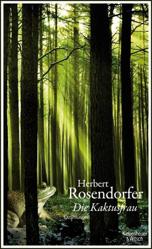 Cover of the book Die Kaktusfrau by Bernhard Jaumann
