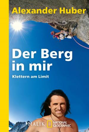 Cover of the book Der Berg in mir by Andreas Brandhorst