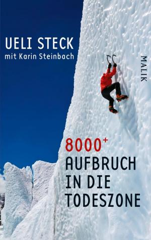 Cover of the book 8000+ by John Biggar