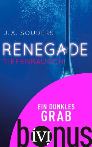 Cover of the book Ein dunkles Grab by Stefan Holtkötter