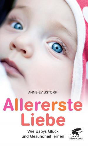Cover of Allererste Liebe