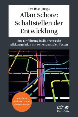 Cover of the book Allan Schore: Schaltstellen der Entwicklung by Eva Tillmetz