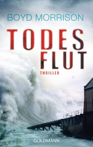 Cover of the book Todesflut by Simone Neumann