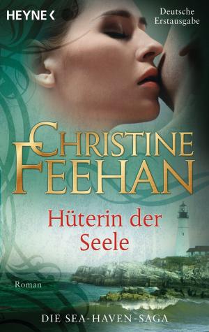 Book cover of Hüterin der Seele -