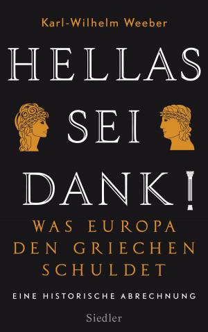 Cover of the book Hellas sei Dank! by Christian Meier