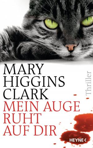 Cover of the book Mein Auge ruht auf dir by Kai Meyer