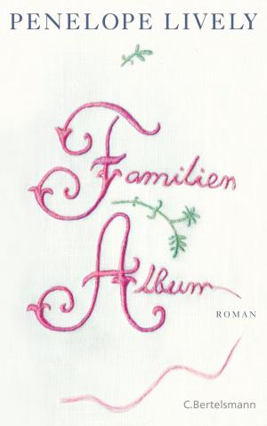 Cover of the book Familienalbum by Robin Rinaldi