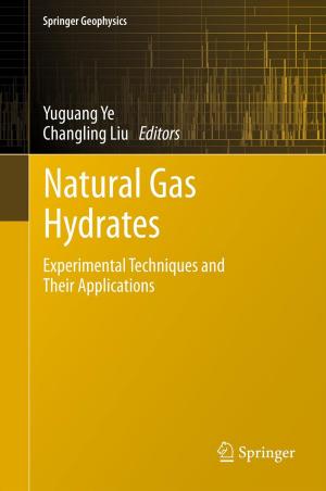 Cover of the book Natural Gas Hydrates by 