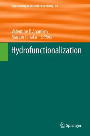 Cover of the book Hydrofunctionalization by Martin Hautzinger, Frank Petrak, Stephan Herpertz, Matthias J. Müller