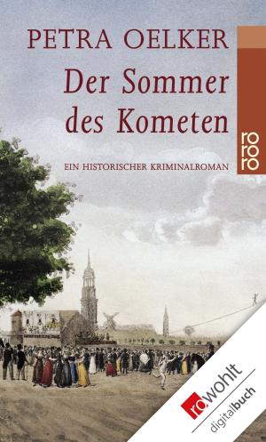 Cover of the book Der Sommer des Kometen by Fredrika Gers