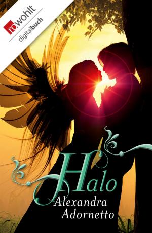 Cover of the book Halo by Edgar Rai, Hans Rath