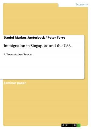 Cover of the book Immigration in Singapore and the USA by Peter Meinert
