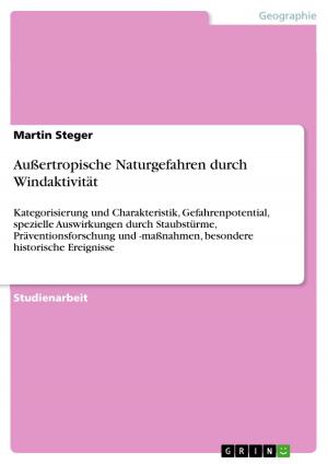 Book cover of Außertropische Naturgefahren durch Windaktivität