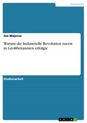 Cover of the book Warum die Industrielle Revolution zuerst in Großbritannien erfolgte by Jessica Nagy