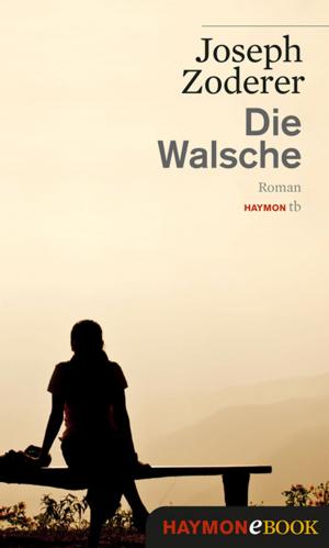 Cover of the book Die Walsche by Reinhard Kleindl
