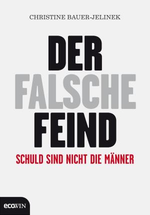 Cover of the book Der falsche Feind by Christine Bauer-Jelinek
