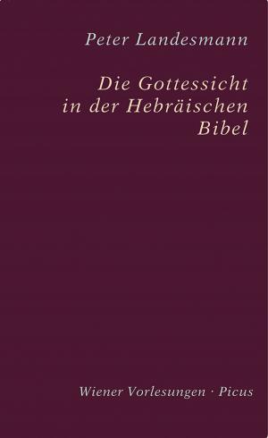 Cover of Die Gottessicht in der Hebräischen Bibel