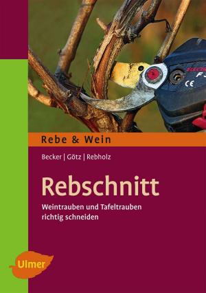 Cover of the book Rebschnitt by Mirjam Beile