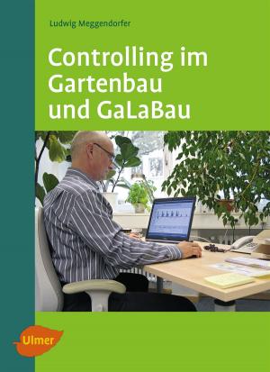 Cover of the book Controlling im Gartenbau und GaLaBau by Markus Berger