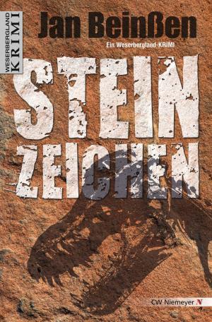Cover of the book Steinzeichen by Susan Berliner