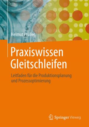 Cover of the book Praxiswissen Gleitschleifen by Norbert Köckler