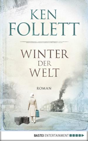 Cover of the book Winter der Welt by Volker Keidel