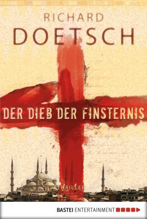 Cover of the book Der Dieb der Finsternis by Kristina Günak