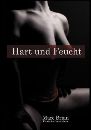 Cover of the book Hart und Feucht by Wolfgang Uwe Spies