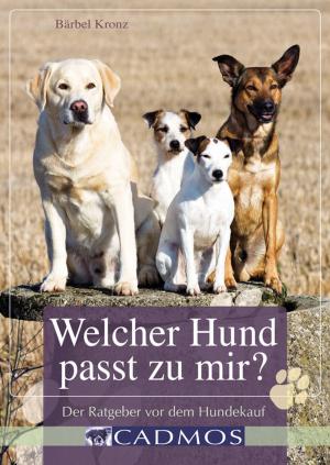 Cover of the book Welcher Hund passt zu mir? by Stefan Baumgartner