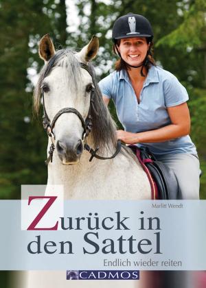 Book cover of Zurück in den Sattel