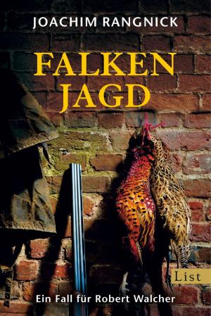 Cover of the book Falkenjagd by Antti Tuomainen