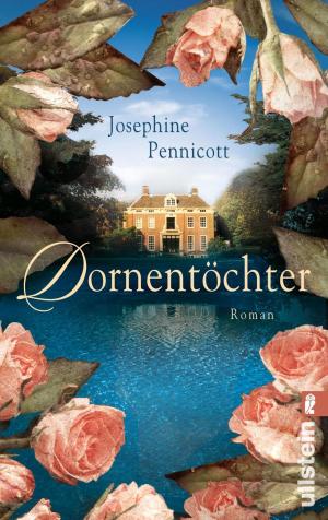 Cover of the book Dornentöchter by Markus Breitscheidel
