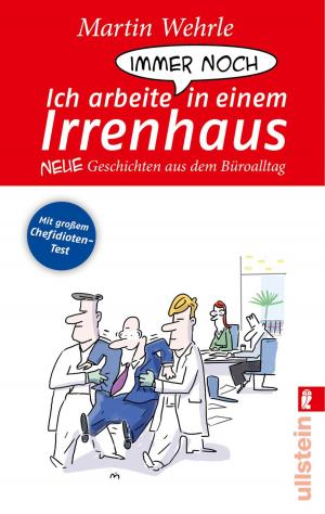 Cover of the book Ich arbeite immer noch in einem Irrenhaus by Frau Freitag